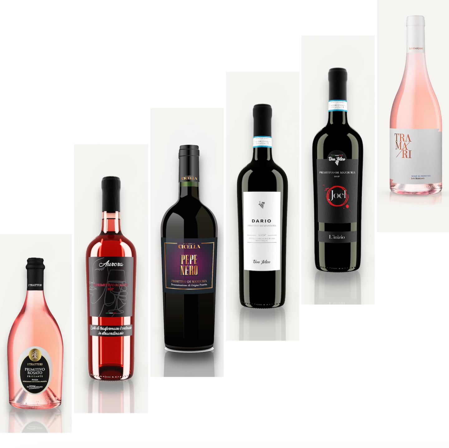BOX Degustazione Primitivo