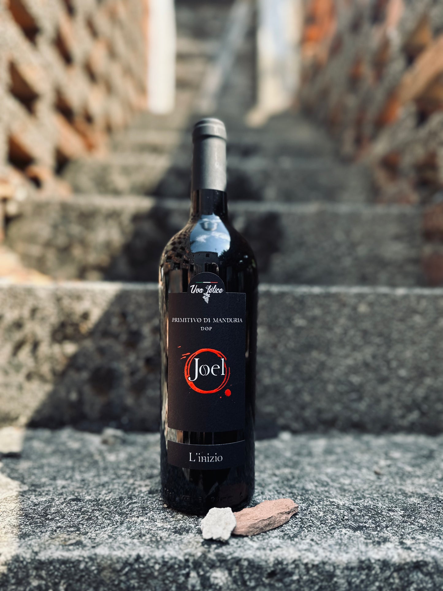 Gioele: "L'inizio" Primitivo di Manduria DOP
